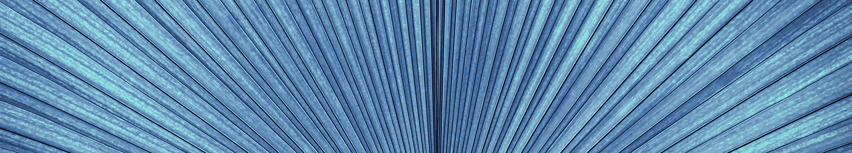 Perpetual Dynamic Fixed Income