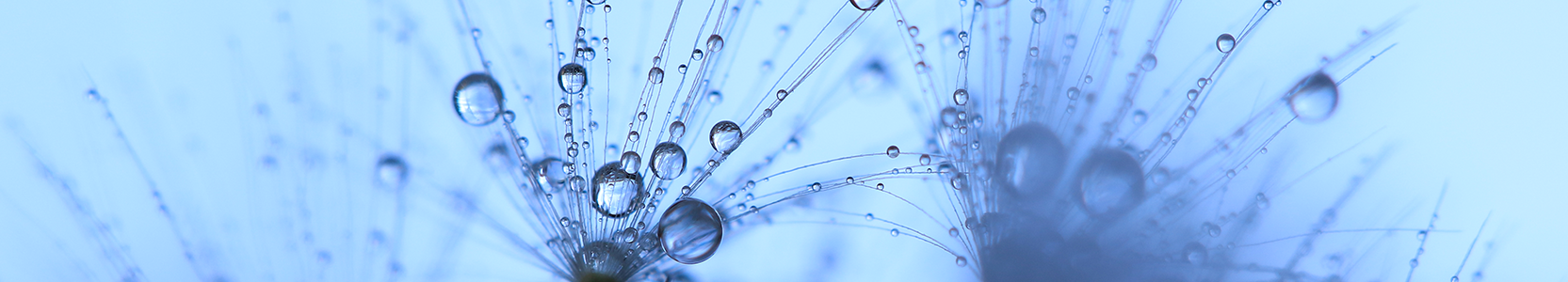 Perpetual Industrial Share