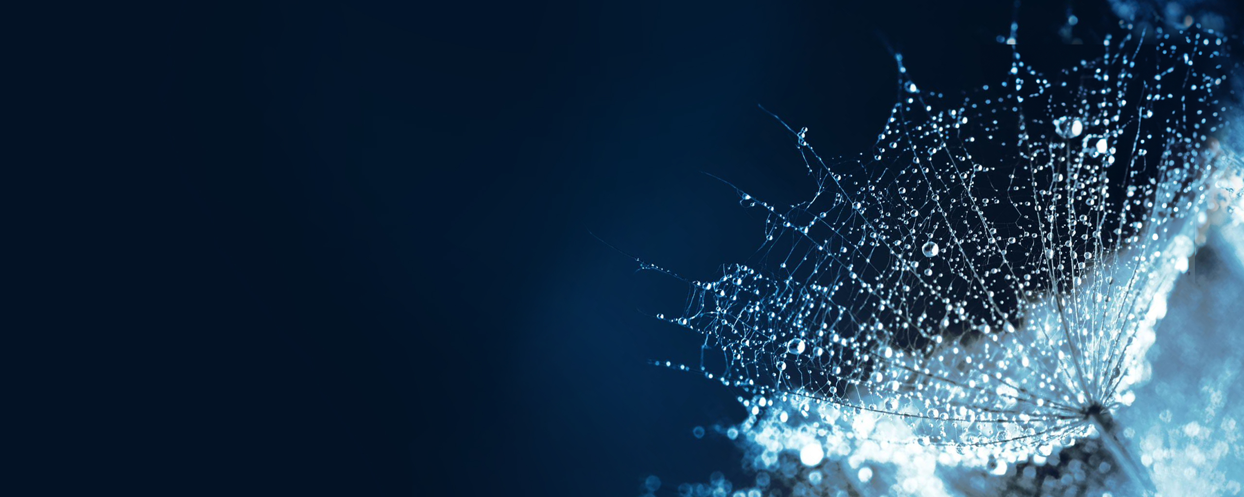 Thinking ETFs? Think Perpetual active ETFs