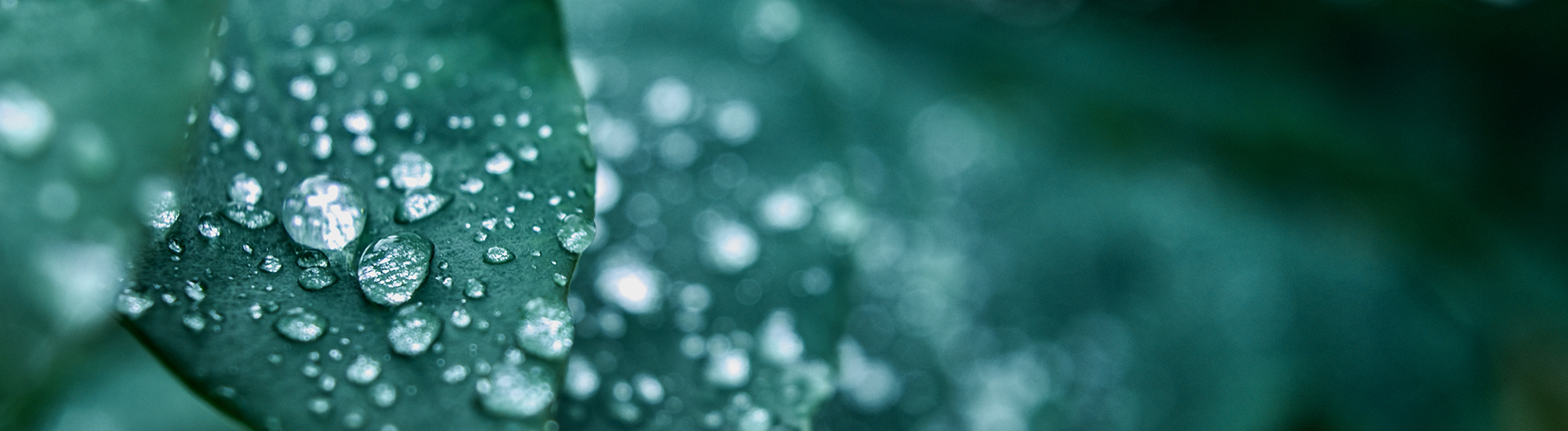 Barrow Hanley Global Share Fund - Class A (Hedged)