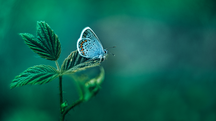 Barrow Hanley on global markets' strong start to 2023