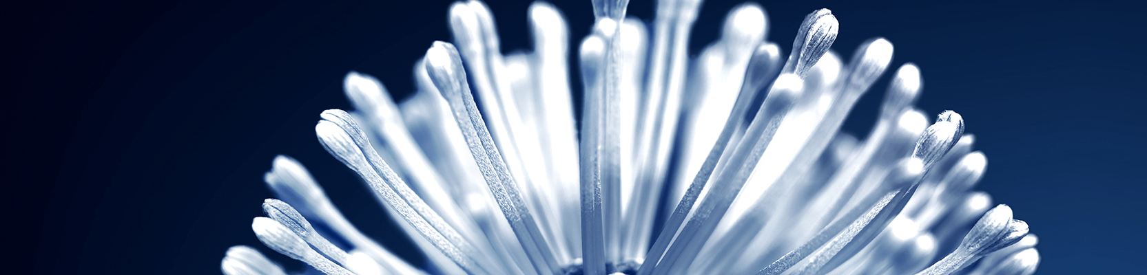 Philanthropy subscription