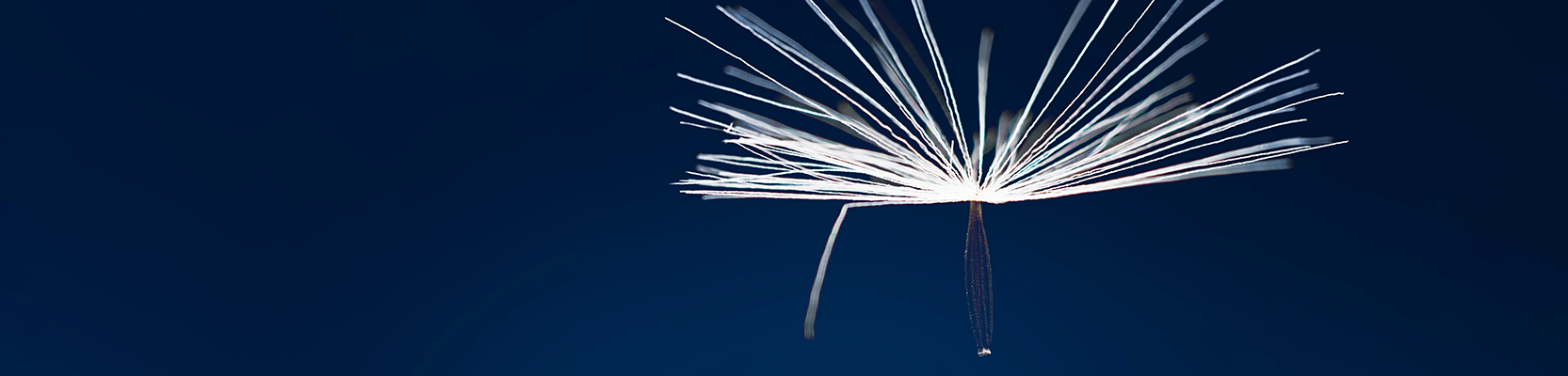 The happiest of all lives is a retirement well spent