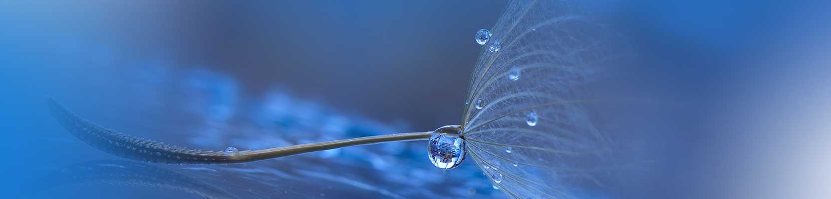 Perpetual Geared Australian