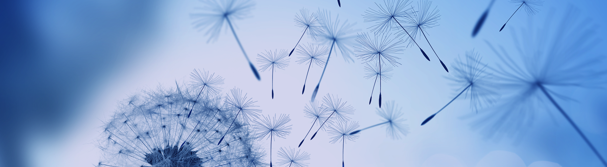 Perpetual Select Australian Share Fund