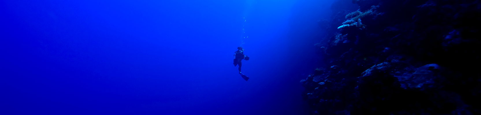 Deep dive into Aussie RMBS data