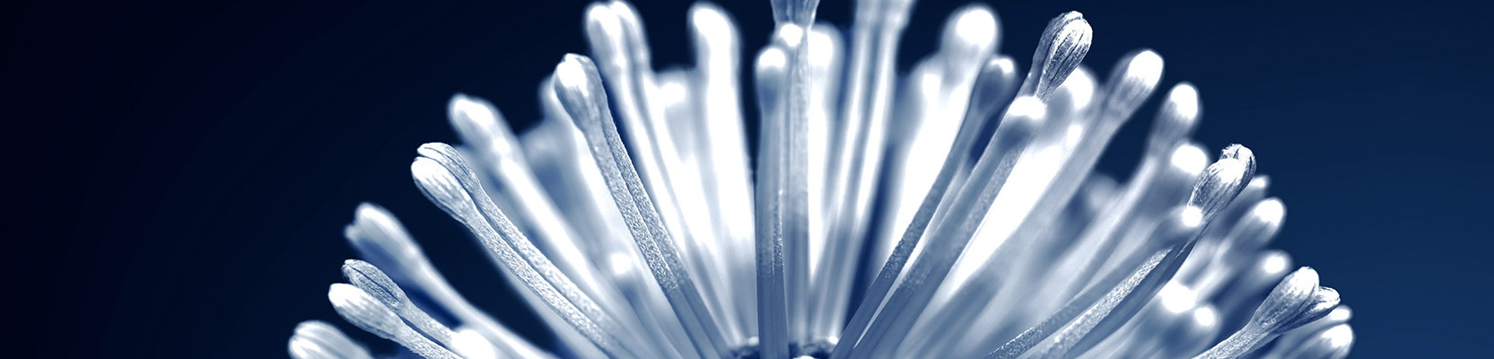 Philanthropy subscription