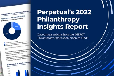 IPAP-Report-2022-746-419.png