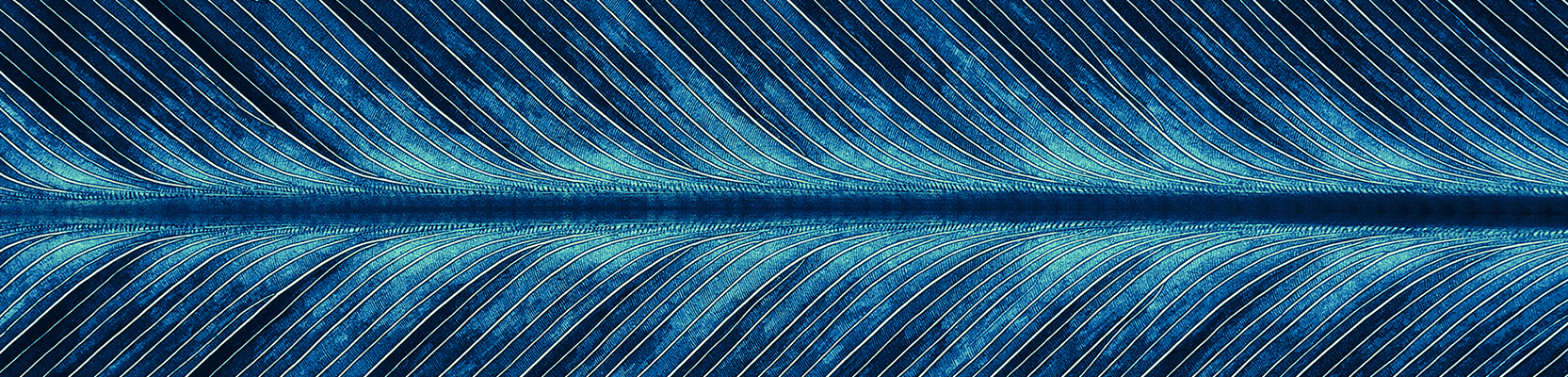 Perpetual Credit Income Trust (ASX:PCI)