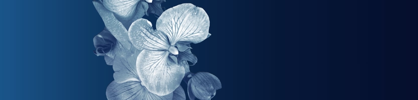 Womens Edge Group Website banner.jpg